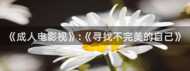 扬州大地影院：《成人电影视》:《寻找不完美的自己》
