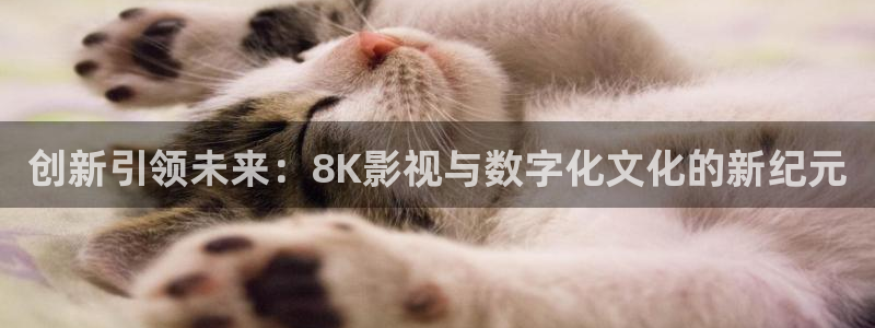 广州大地影院：创新引领未来：8K影视与数字化文化的新纪元