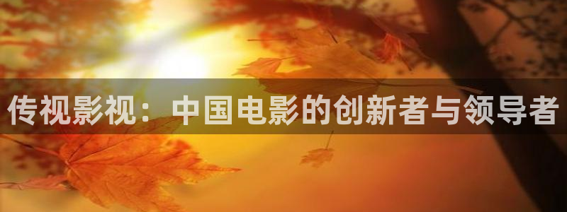 潜江大地影院今日影讯：传视影视：中国电影的创新者与领导者