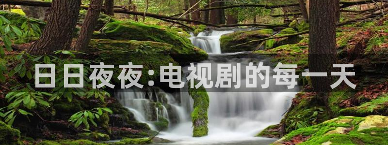 神马大地影院：日日夜夜:电视剧的每一天