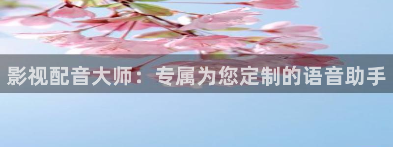 大地英豪电影：影视配音大师：专属为您定制的语音助手