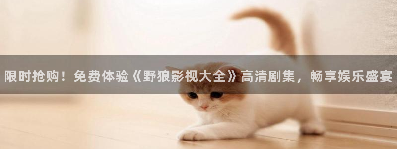 岳阳大地影院影讯：限时抢购！免费体验《野狼影视大全》高清剧集，畅享娱乐盛宴