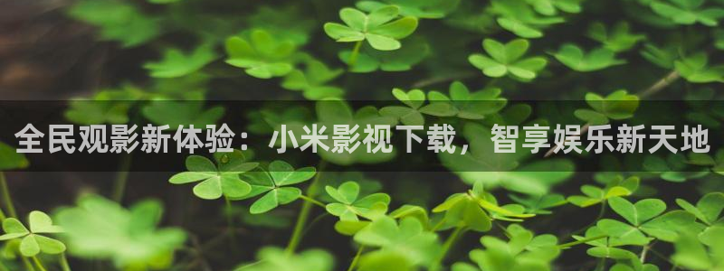 大地资源二中文在线影视免费观看：全民观影新体验：小米影视下载，智享娱乐新天地